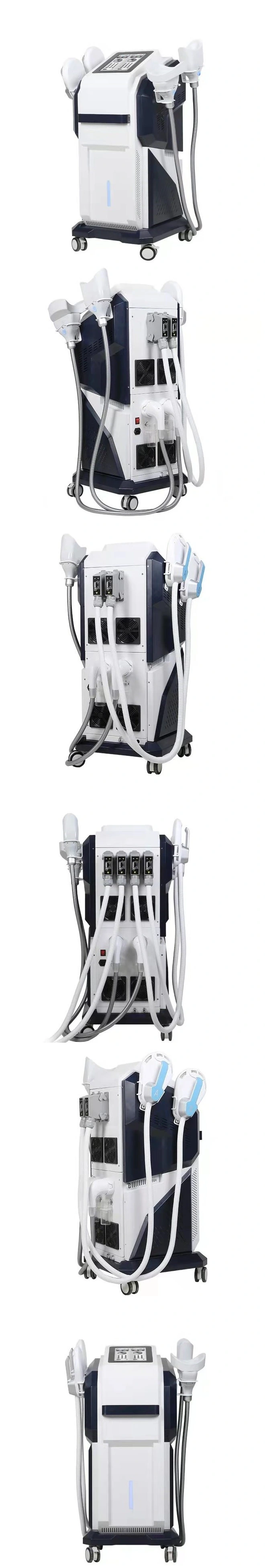 4D Cryolipolysis EMS Therapy Machine with Electromagnetic Stimulation for Body Slimming