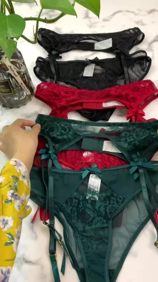 Charmante femme adulte broderie florale transparente sous-vêtements en dentelle de haute qualité