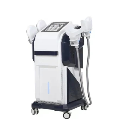 Machine de thérapie 4D Cryolipolysis EMS avec stimulation électromagnétique pour l'amincissement du corps